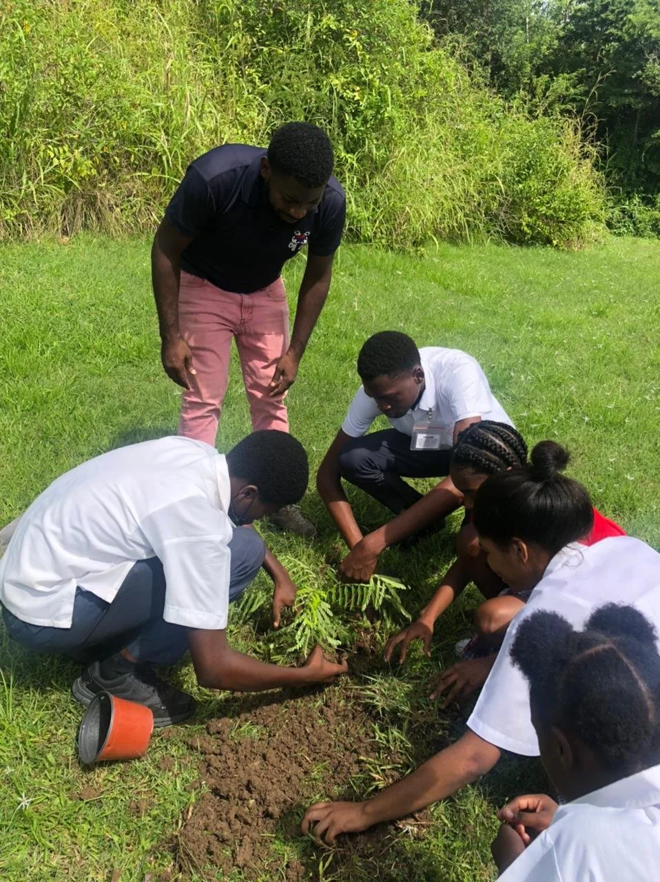 Students from Mason Hall Secondary place a Flamboyant tree into the ground, with guidance from Mr. Wade Caruth, Agricultural Technician at Mason Hall Secondary.