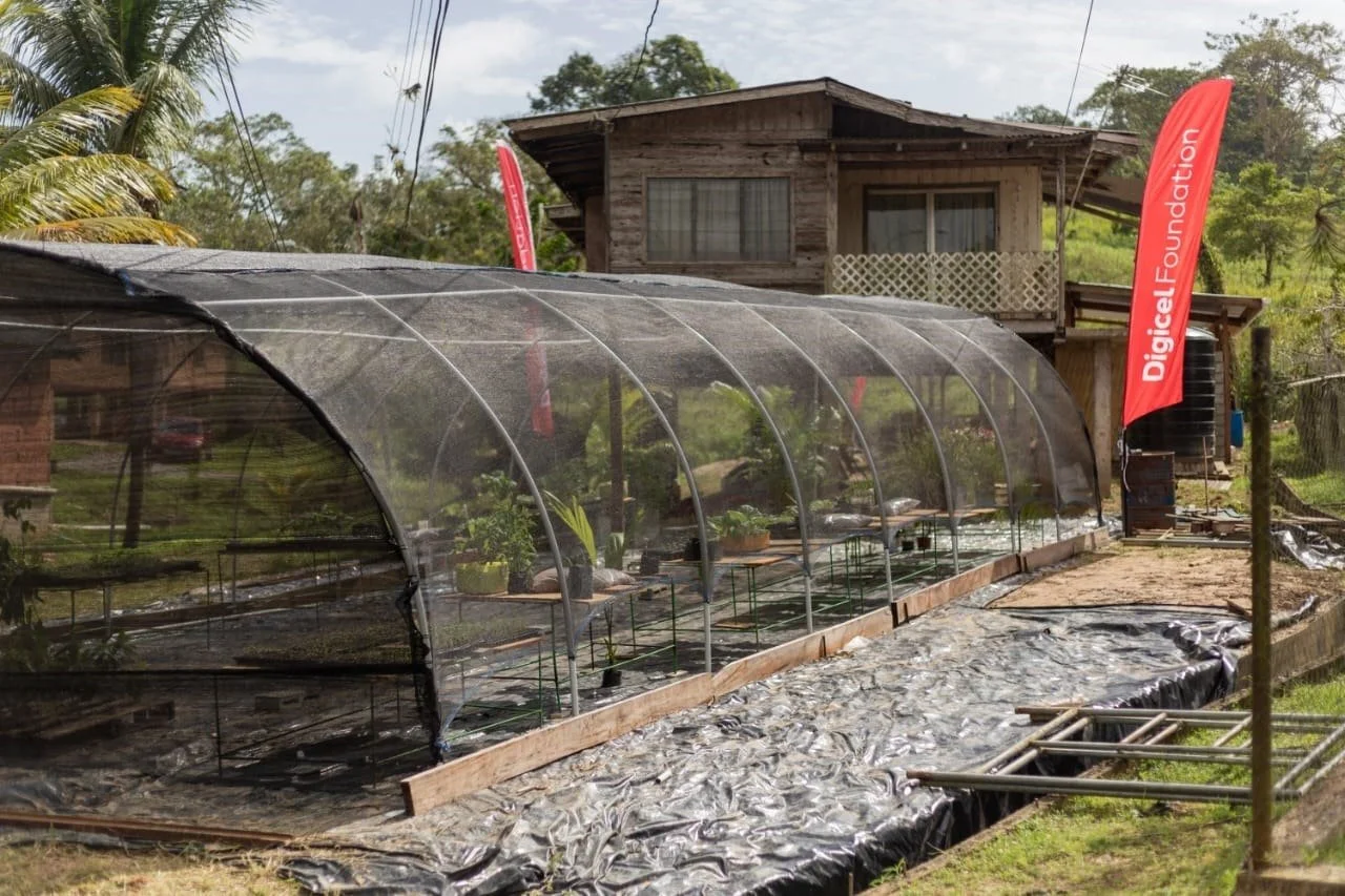  The Shade House in Moruga will provide the community with a nursery for plants which will range from seasonings, fruit trees and forest trees.  The group will also use the space as part of their community outreach and training. 