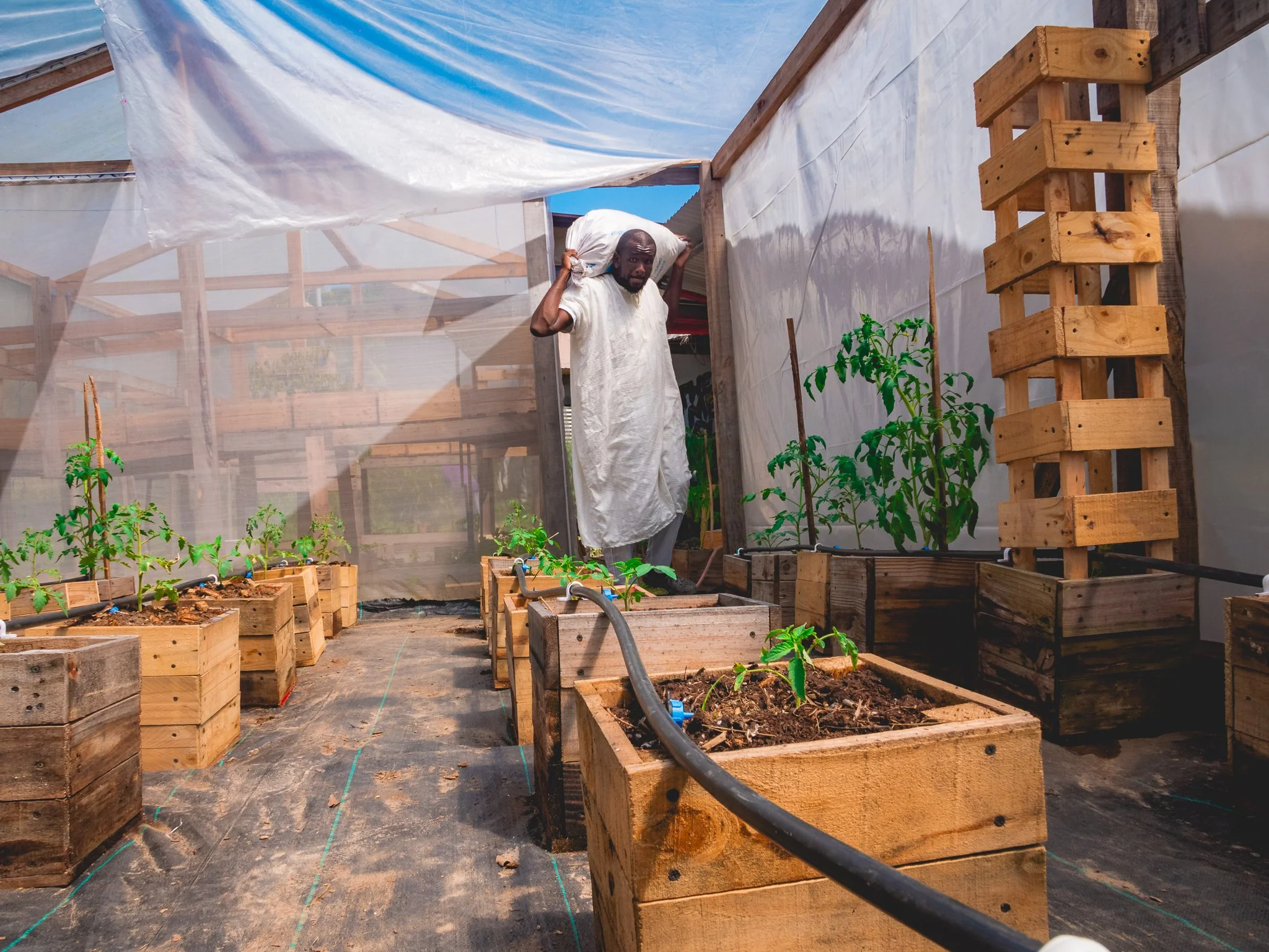  Akinola Sennon, President of the Siparia Deltones, has been directing much more than music since the launch of the Railway Pizza Garden and outlet at the Deltones Panyard on Railway Road Siparia as part of a community effort to boost youth employment.  