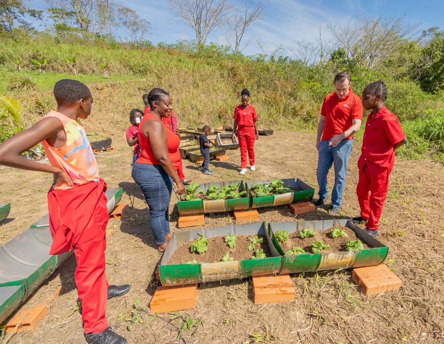 Digicel CEO Abraham Smith learns about the lettuce growing process from beneficiaries of ‘Planting Seeds with a Purpose’ project.