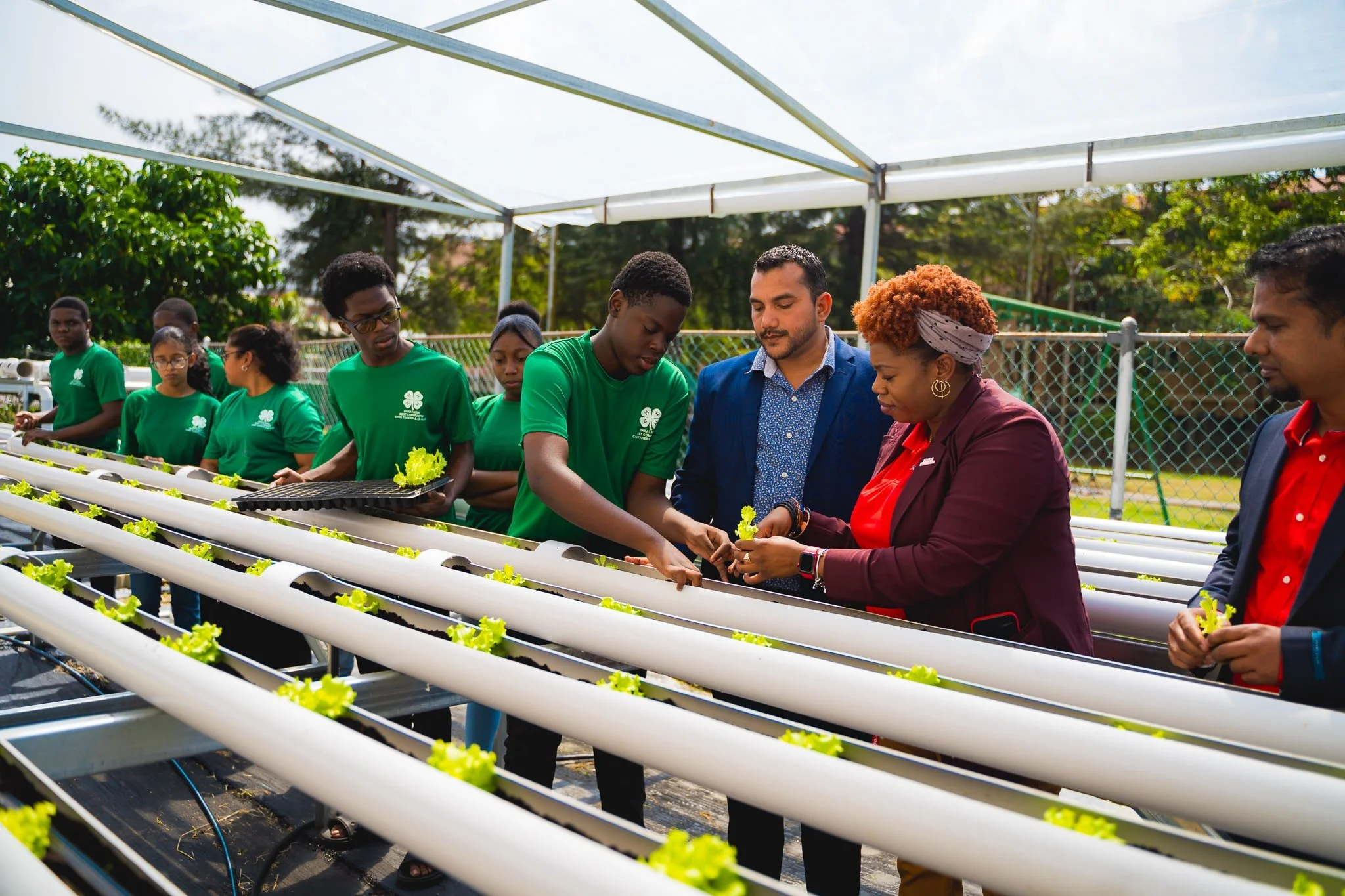 (L-R) Members of Barataria 4H Club; Minister in the Ministry of Agriculture , Land and Fisheries , Mr. Avinash Singh; Cindyann Currency, Head of Operations at Digicel Foundation; and Terry Mohammed, Operations HSSE and Emergency Response Manager, Shell T&T, at the site of the Barataria Community hydroponics expansion project on 31 January 2024.