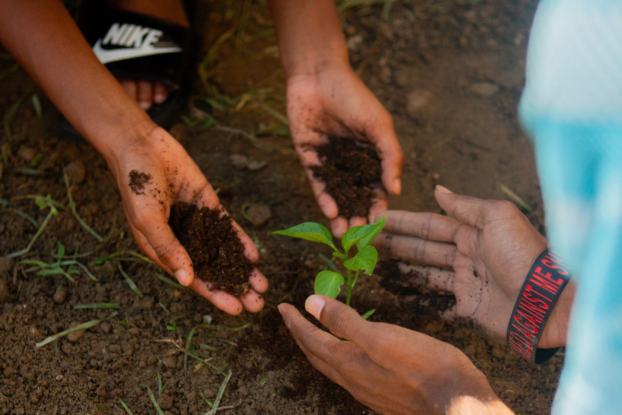 Helping hands: IGT staff and Rainbow Rescue boys worked together to plant the kitchen garden at the Home in 2023.