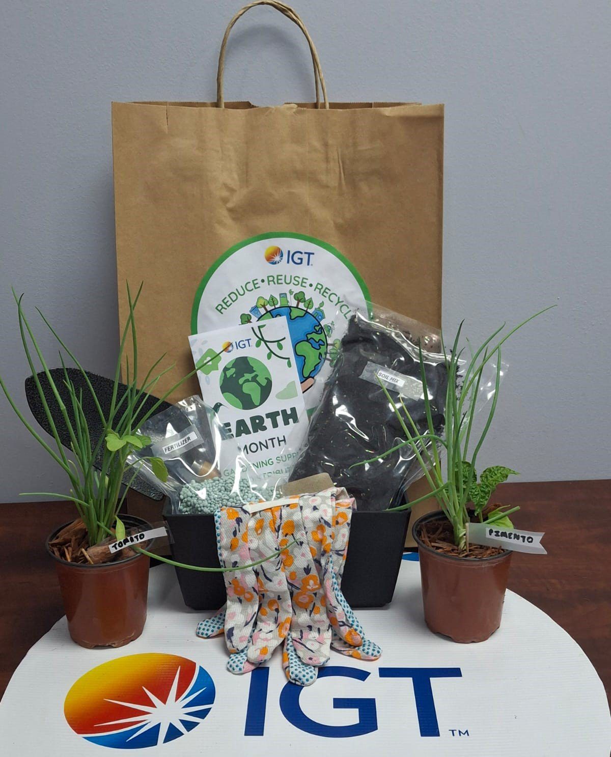 The garden supply kits and seedlings donated to IGT’s partners for Earth Month 2025.